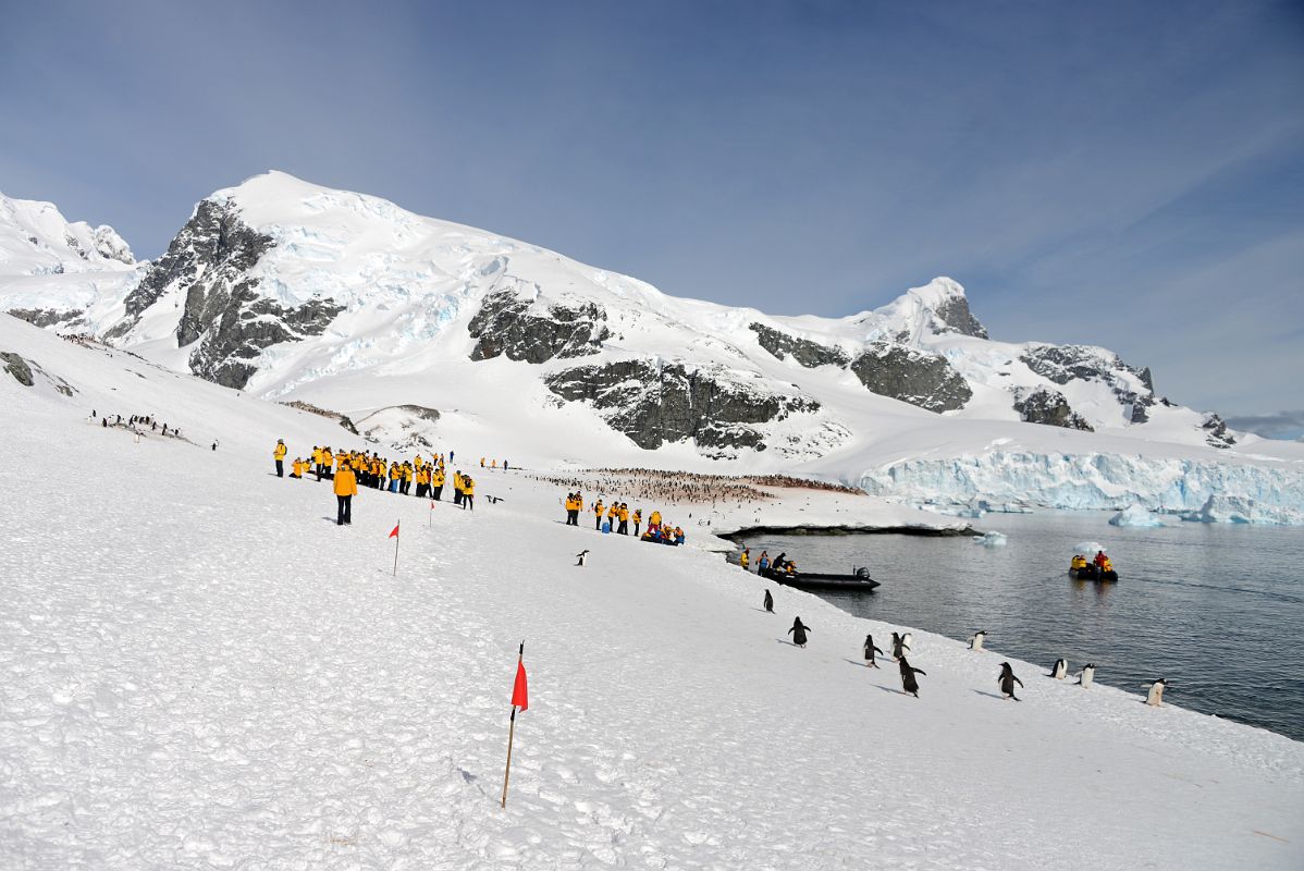 22C Tourists Mingle With Gentoo Penguins On Cuverville Island With Mount Britannia And Mount Tennant On Ronge Island On Quark Expeditions Antarctica Cruise